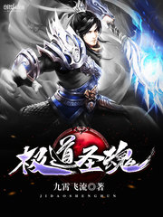 九天斩神诀林辰赵无极境界