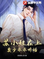 掘土小坦克新书上门女婿