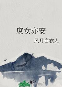 江枫安佳琪小说