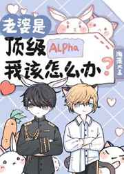 顾北笙傅西洲小说免费阅读全文