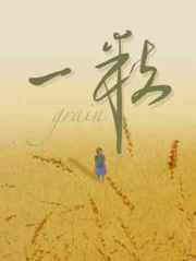 带着空间穿七零磕着瓜子混日子盛晚烟顾廷枭全文完整版