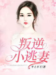 龙辰帝洛曦小说全文完结阅读免费